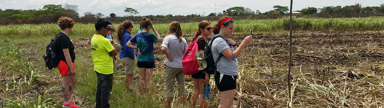 Careers in Anthropology